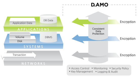 Database encryption and data protection security implementation